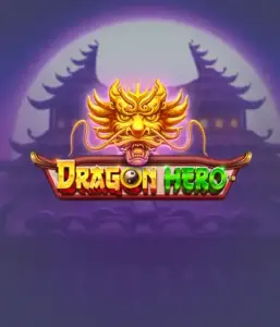 Присоединитесь к легендарное приключение с игрой Dragon Hero от Pragmatic Play, освещающей потрясающую визуализацию мощных драконов и эпических столкновений. Погрузитесь в царство, где магия встречается с волнением, с представляющими сокровищ, мистических существ и зачарованных оружий для очаровательного игрового опыта.